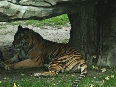 -北京野生动物园