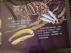 -台州博物馆