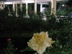 景点-人民公园(罗湖区)