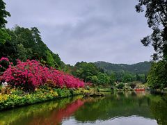 -深圳仙湖植物园