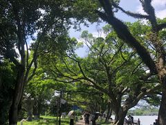 -江心屿景区