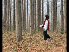 -黄海国家森林公园