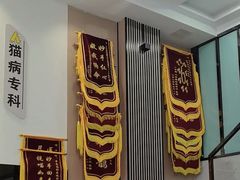 -半岛宠物医院24小时(科华中路店)
