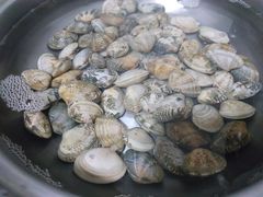 -金鸡岭农贸市场