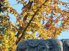 -北京石刻艺术博物馆(五塔寺)