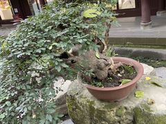 -成都武侯祠博物馆