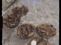 -铭聚章鱼土笋冻(松柏店)