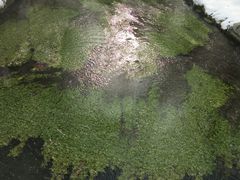 -水磨沟公园