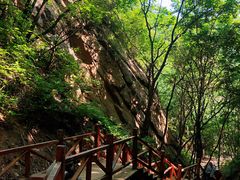 -大岭沟猕猴桃谷风景区