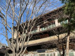 -重庆秦妈火锅(全国连锁五台山店)