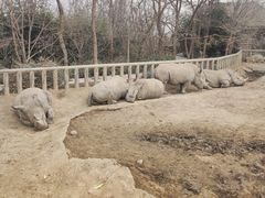 -济南野生动物世界
