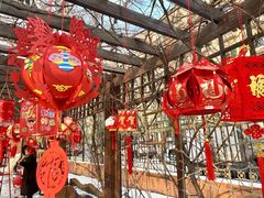 -大东尚品实验幼儿园