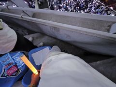 -沈阳奥林匹克体育中心