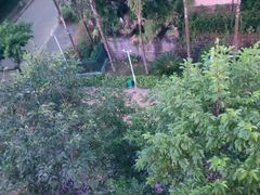 -重庆海昌加勒比海水世界