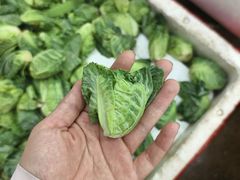 -济南海鲜大市场