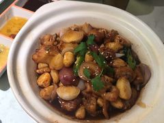 -南枝记