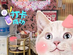 -玉玲珑(陆家嘴店)