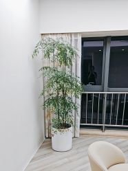 -HEYAN荷妍专业脱毛连锁机构