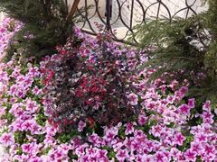 -华谊兄弟（长沙）电影小镇