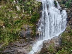 -海南热带雨林国家公园吊罗山景区