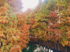 -厦门园林博览苑