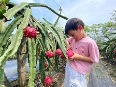 -尚果生态采摘园