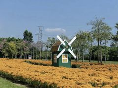-广东花都香草世界旅游度假区