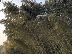 -郑州植物园