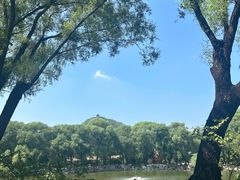 -石家庄市动物园