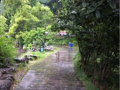 iphone_upload_pic-郑和公园