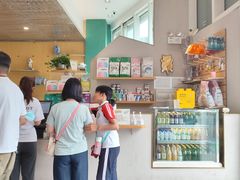 -飞行喵MR PILOT|猫舍·猫咖(静安大融城店)