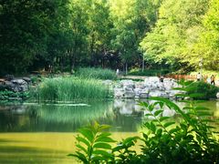 -云岗森林公园