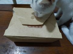 -惠诚滋知(鸿通城店)