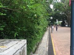 -九龙公园
