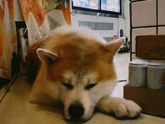 -餐酒吧Com-ing Bar(上海路店)