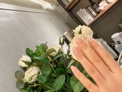 -丽尔美睫