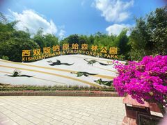 -西双版纳原始森林公园