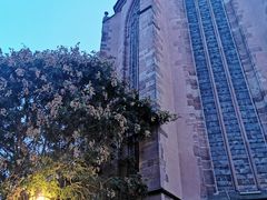 -Restaurant Paulaner am Dom
