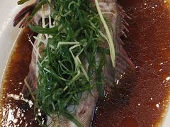 清蒸珍珠斑-盛港湾海鲜食府(黄沙店)
