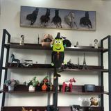 小众运动✔马术🏇🏻