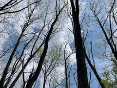 -黑龙江省森林植物园