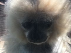 -昆明动物园