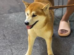 -聚味瞿记·龙虾堂(渔人码头一店)