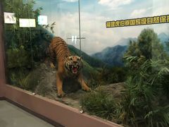 -国家自然博物馆