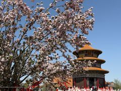 -大悲禅寺