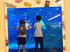 -成都浩海立方海洋公园