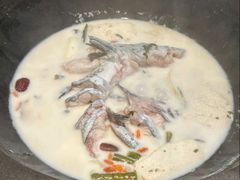 -鲜潭蒸汽石锅鱼(五道口购物中心店)