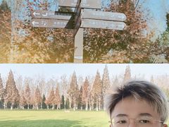 -合肥滨湖国家森林公园