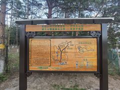 -帽儿山国家森林公园