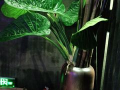 -观唐足道SPA养生会馆(南湖店)